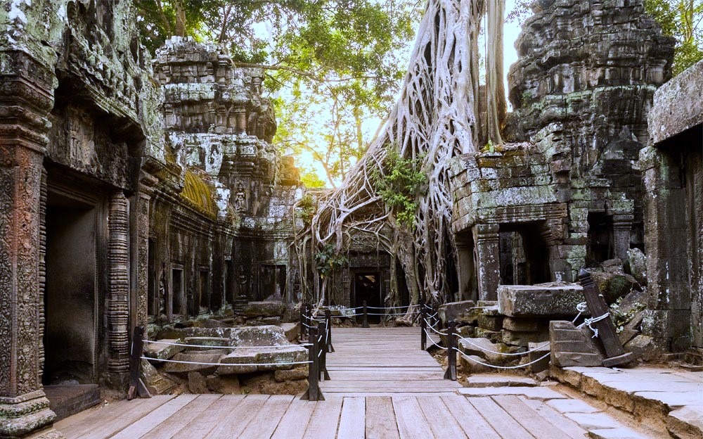 Ta Phrom Temple