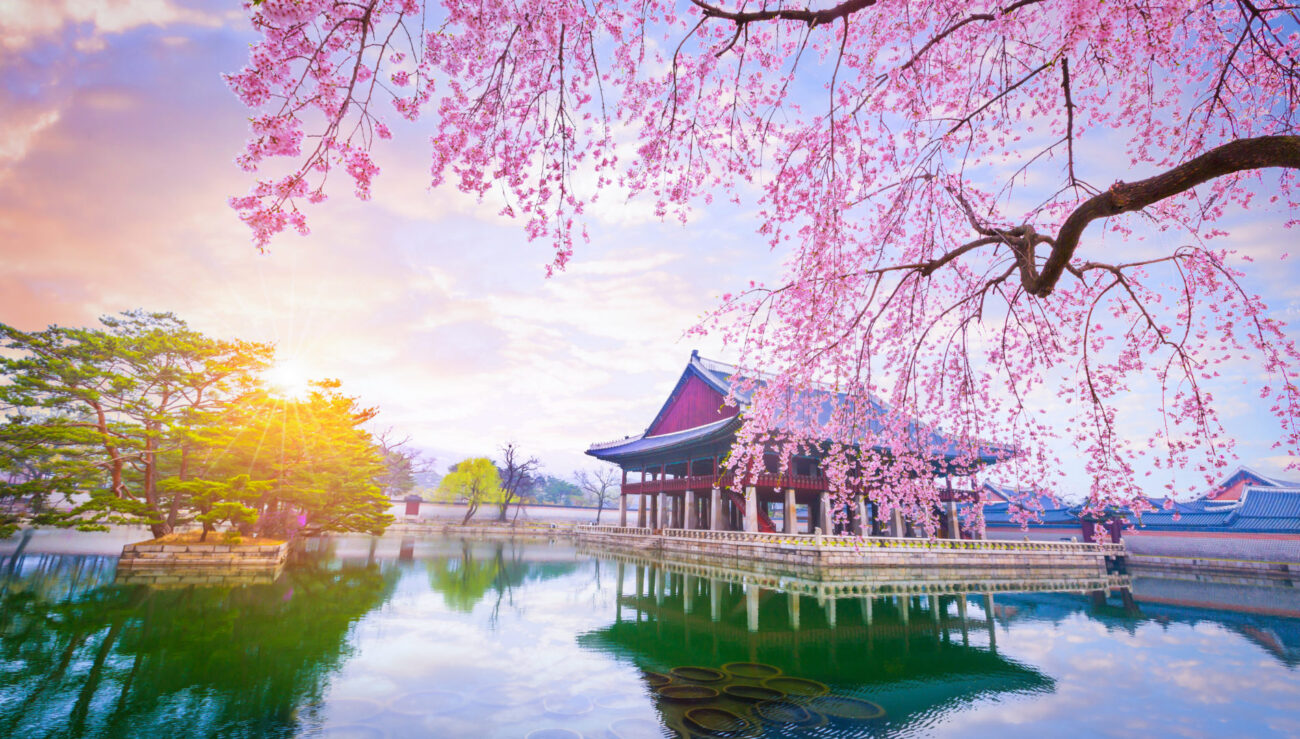 gyeongbokgung palace in seoul city south korea.shutterstock 1018629922 1900x1080 1